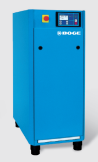 C 9